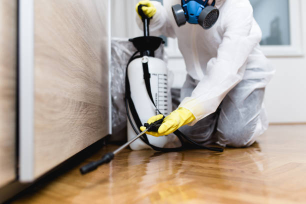 Best Pest Inspection Near Me  in Lorenz Park, NY