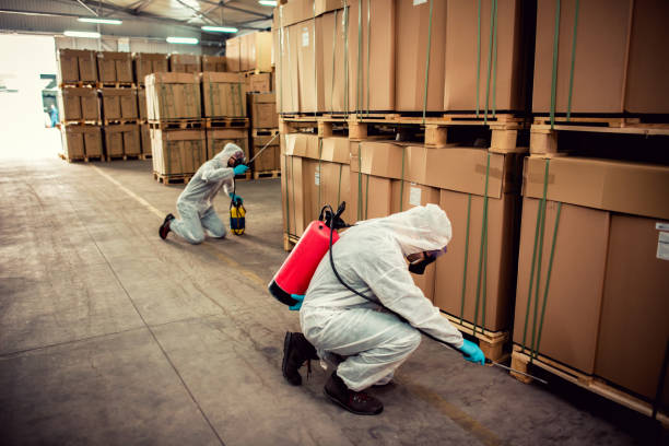 Best Affordable Pest Control Services  in Lorenz Park, NY