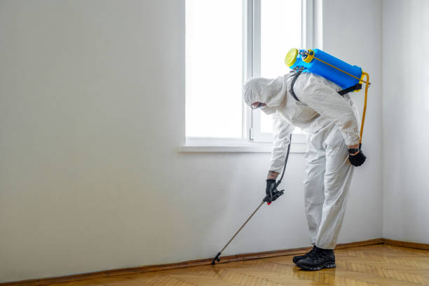Best Mosquito Control Services  in Lorenz Park, NY